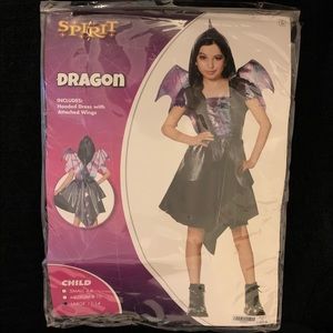 Dragon Costume!! Size 12-14🐲